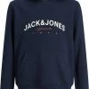 JACK & JONES JUNIOR JACK&JONES JUNIOR JORFRIDAY SWEAT HOOD BF JNR Jongens Trui - Maat 164 -Nike winkel 550x754 5