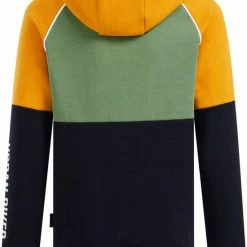 WE Fashion Jongens Sweater Met Colourblock -Nike winkel 550x793 4